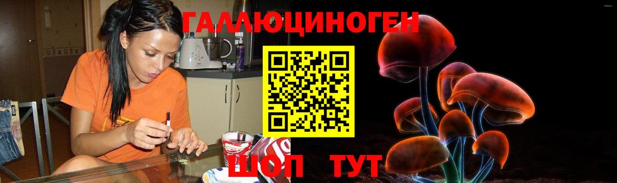 Тейково  Галлюциногенные грибы Magic Shrooms  купить наркотики сайты  Вход с VPN 